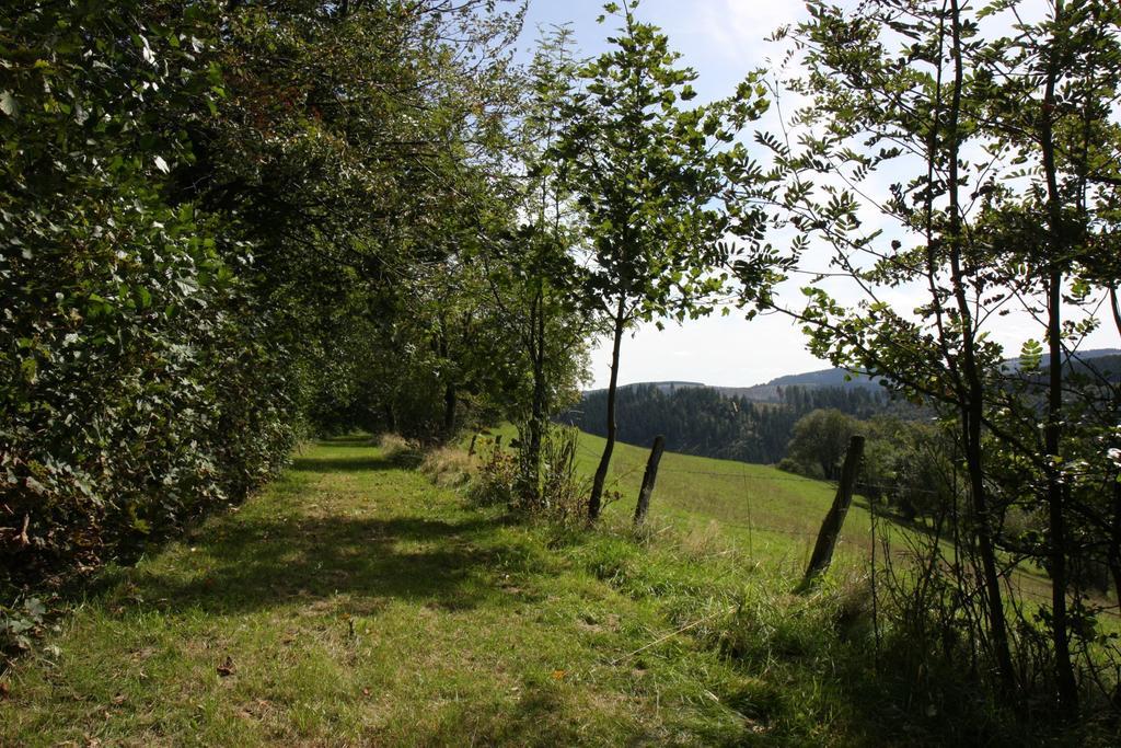 Landhaus Gnacke Apartamento Schmallenberg Exterior foto