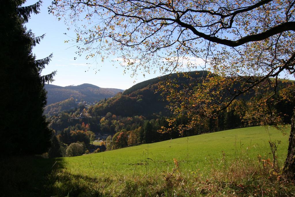 Landhaus Gnacke Apartamento Schmallenberg Exterior foto