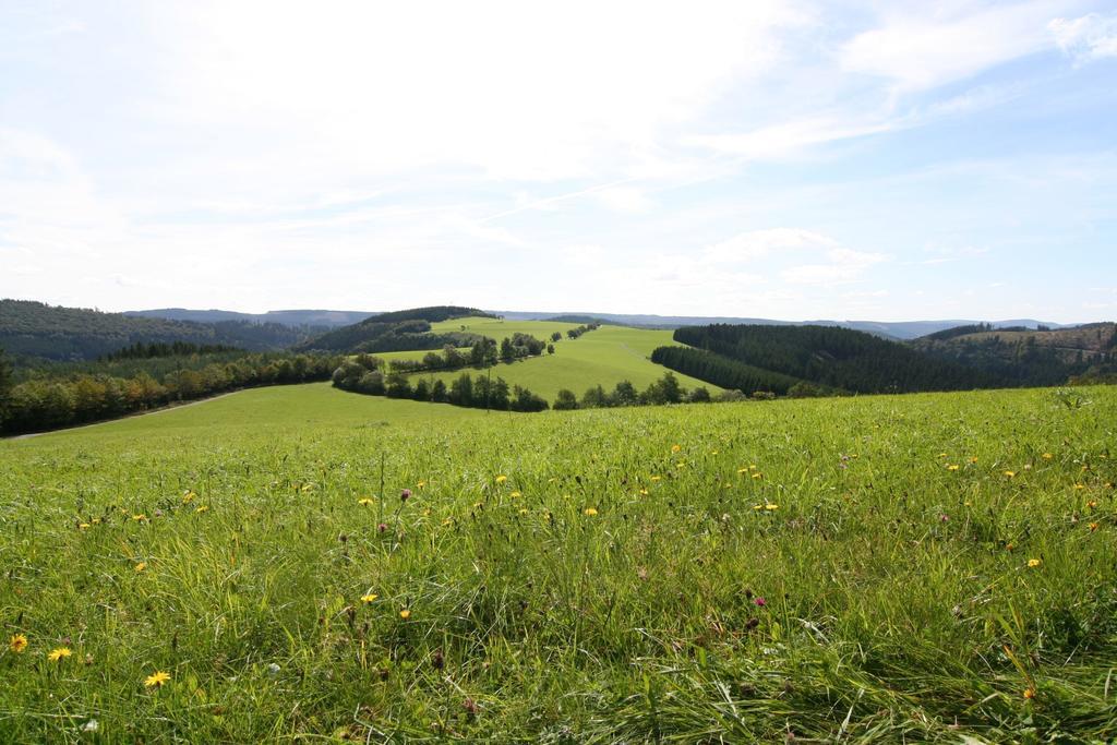 Landhaus Gnacke Apartamento Schmallenberg Exterior foto